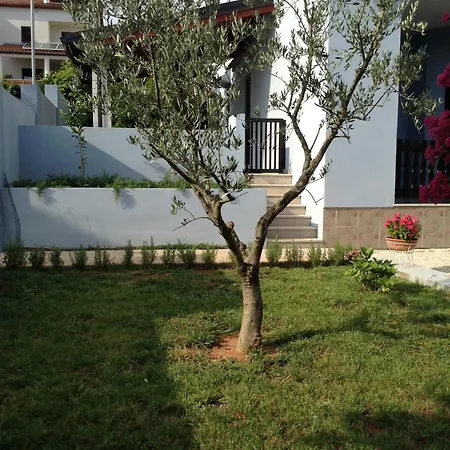 The Blue House * Vinkuran