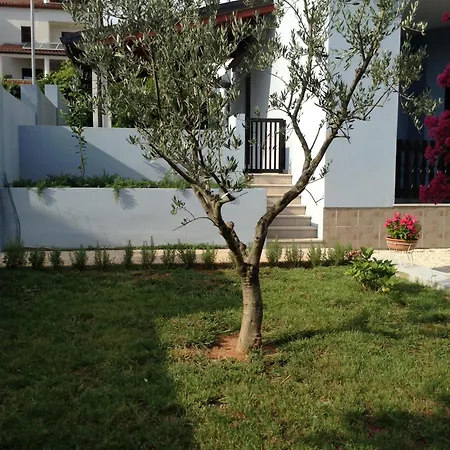 The Blue House * Vinkuran